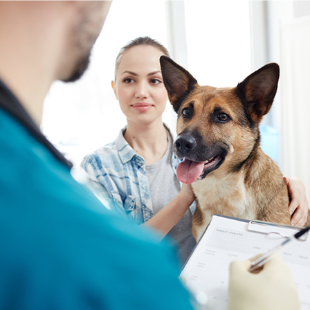 How can risk assessment work in practice