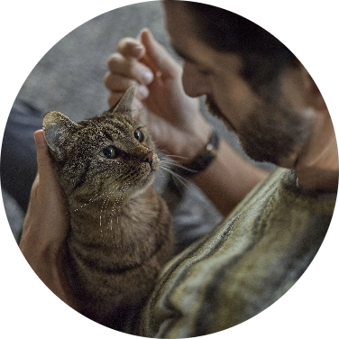 NexGard COMBO SPECTRA CAT