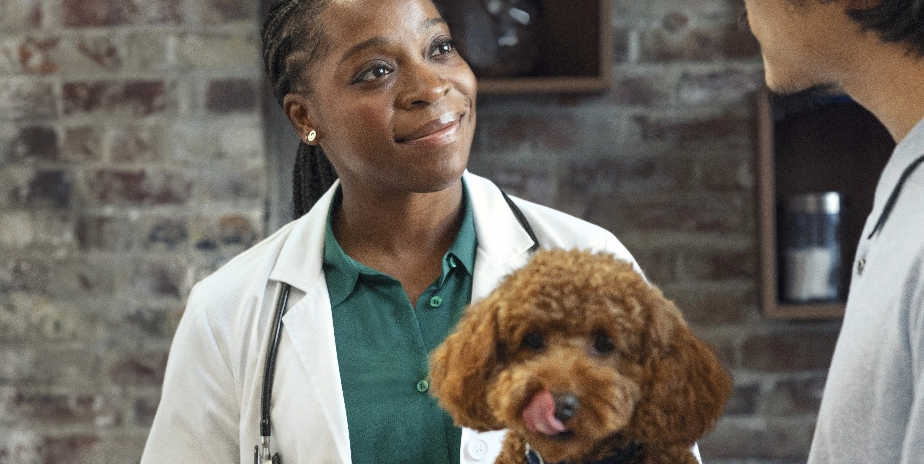 NexGard SPECTRA PLUS DOG
