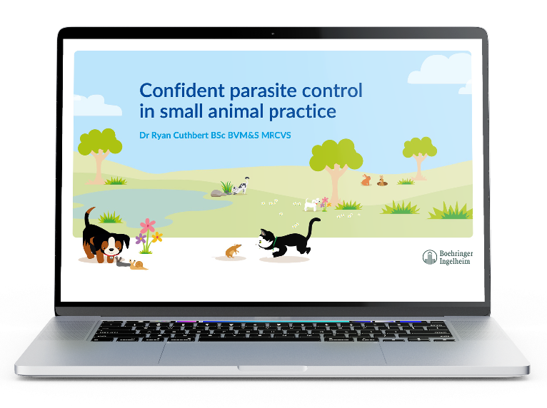 Webinar